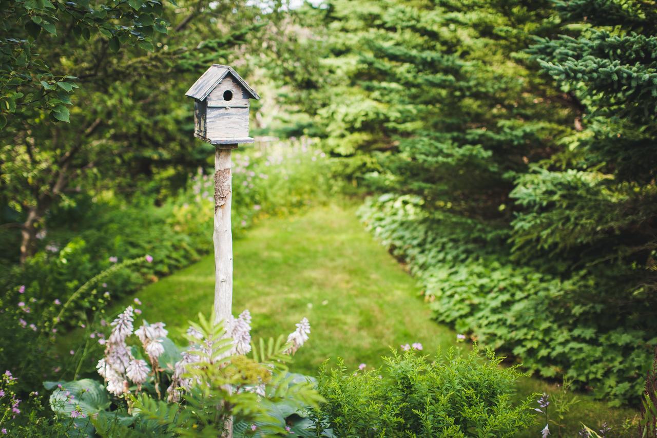 Abbie'S Garden Bed & Breakfast Grand Bank Eksteriør bilde