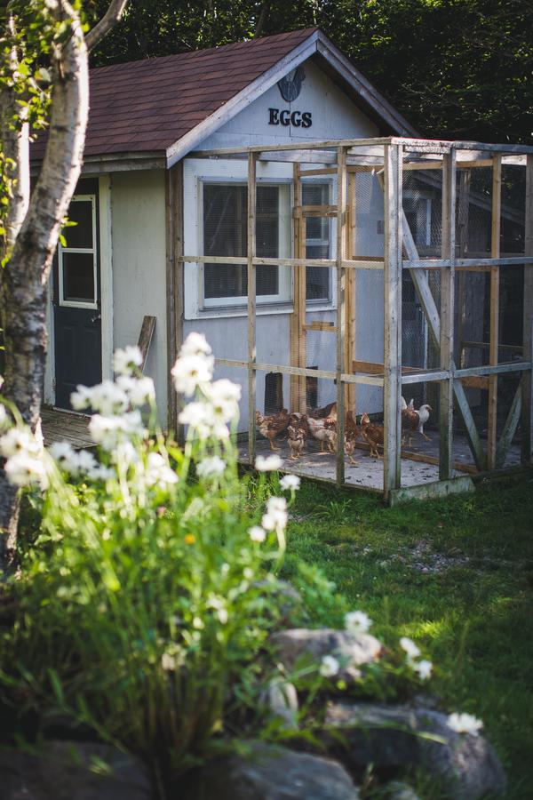 Abbie'S Garden Bed & Breakfast Grand Bank Eksteriør bilde